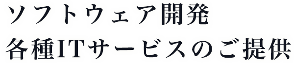 ソフトウェア開発・各種ITサービスの提供